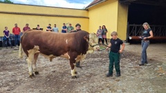 Kliknutm na fotku zobrazte plnou velikost